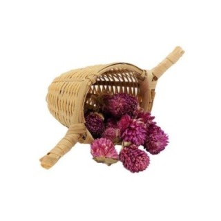 Filtro de té de bambú - 2 asas - Accesorios para el té