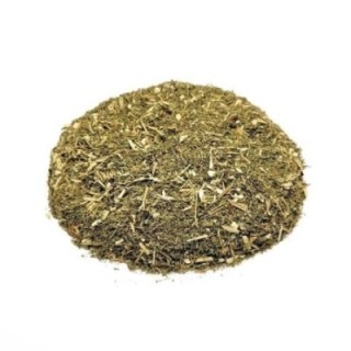 Artemísia Annua, Planta (Artemisia annua) - 200grs