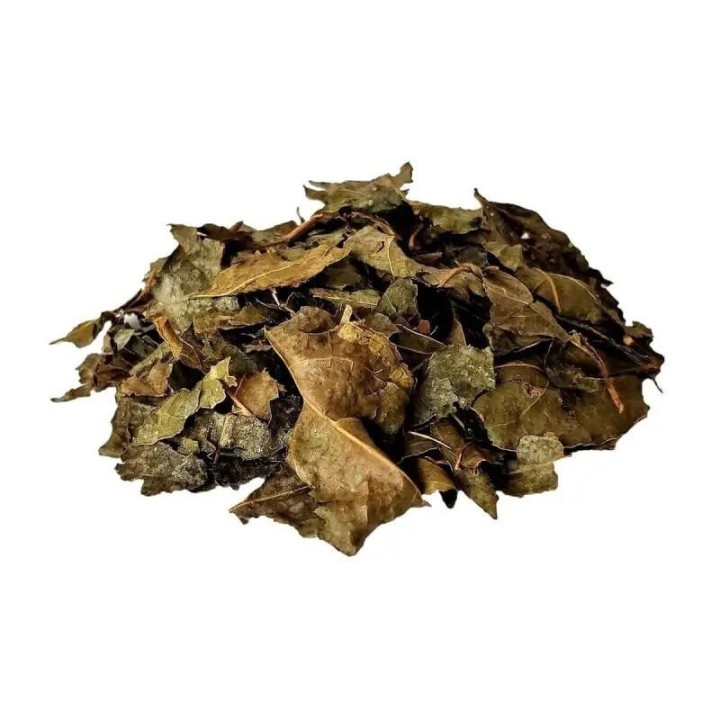 Bugre, Folhas (Cordia Salicifolia) - 200grs