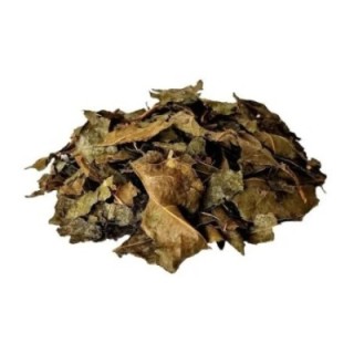 Bugre, Folhas (Cordia Salicifolia) - 500grs