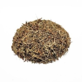 Calafito, Planta (Hypericum tomentosum) - 500grs