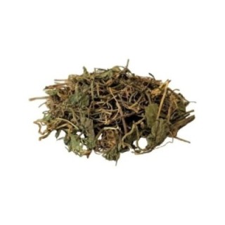 Centella Asiática, Planta (Gotu kola) - 1Kg