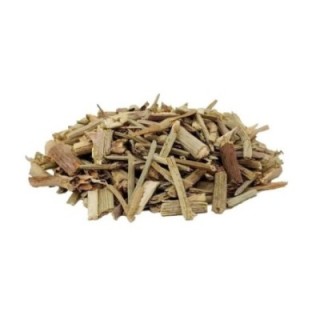 Chicória / Almeirão, Planta (Cichorium intybus) - 50grs