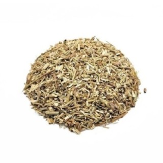 Achicoria / Endibia Planta – Bolsa de 1 kg - digestión