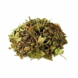 Crataegus / Espinheiro Alvar, Planta (Crataegus oxyacantha L) - 50grs