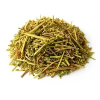 Dente de Leão, Planta (Taraxacum officinale L.) - 500grs
