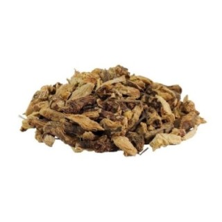 Equinácea, Planta (Echinacea purpurea) - 200grs