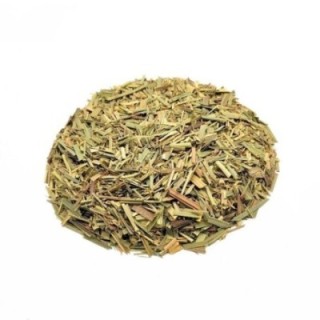 Erva-Príncipe, Planta (Cymbopogon citratus) - 50grs