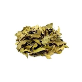Espinheira Santa, Folhas e Talos (Maytenus ilicifolia) - 1Kg