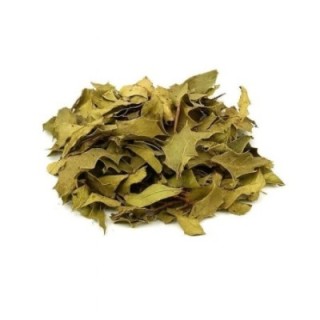 Espinheira Santa Hojas y Tallos – Bolsa de 1 kg - confort estomacal