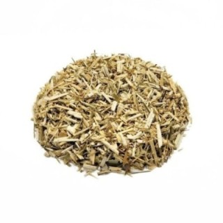 Hinojo Planta – Bolsa de 50 g - alivio de gases