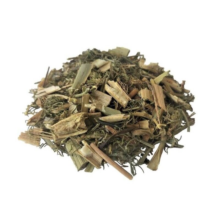 Funcho, Planta (Foeniculum vulgare) - 500grs