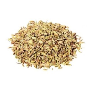 Funcho, Sementes (Foeniculum vulgare) - 100grs