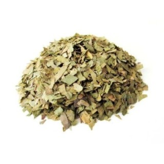 Ginkgo Biloba, Folhas (Ginkgo biloba) - 200grs