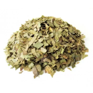 Hojas de Ginkgo Biloba – Bolsa de 1 kg - memoria y concentración