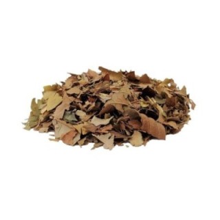 Goiabeira, Folhas (Psidium guajava Linné) - 200grs