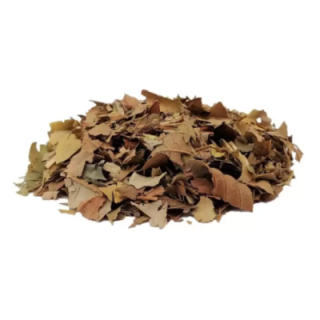 Goiabeira, Folhas (Psidium guajava Linné) - 1Kg