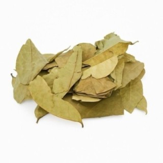 Graviola, Folhas (Annona muricata) - 50grs