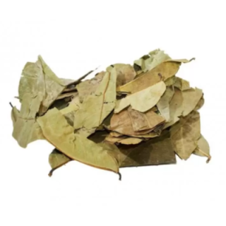 Graviola, Folhas (Annona muricata) - 1Kg