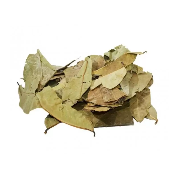 Graviola, Folhas (Annona muricata) - 1Kg