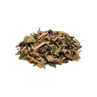Hipericão do Gerês, Planta (Hypericum androsaemum) - 500grs