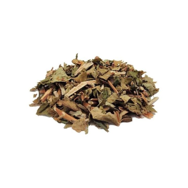Hipericão do Gerês, Planta (Hypericum androsaemum) - 500grs
