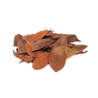 Insulina Vegetal Hojas – Bolsa de 500 g - digestión