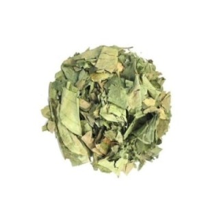 Hojas de naranjo – Bolsa de 500 g - digestión