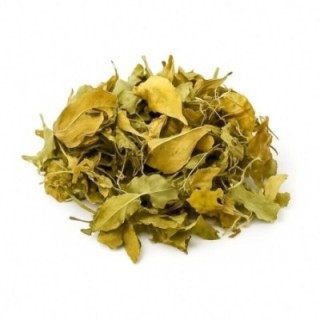 Hojas de limero – Bolsa de 50 g – digestión