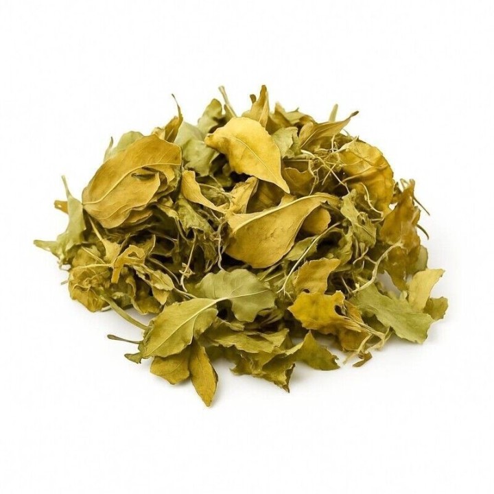 Limoeiro, Folhas (Citrus limon L. Burm) - 200grs