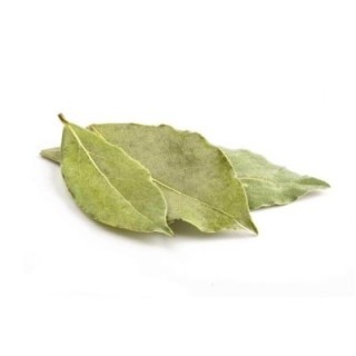 Loureiro, Folhas (Laurus nobilis) - 100grs