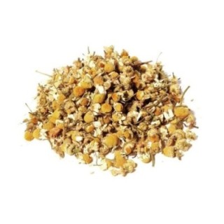 Macela, Flor (Anthemis nobilis L.) - 1Kg