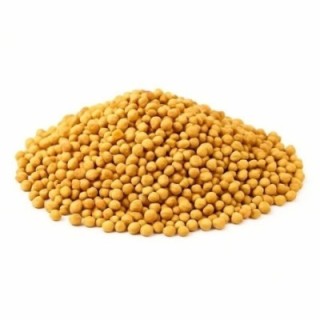 Mostaza blanca (Sinapis Alba) Semillas – Bolsa de 50 g - drenaje de líquidos