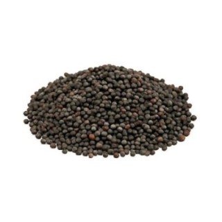 Mostaza negra (Brassica nigra) Semillas – Bolsa de 500 g - alivio de gases