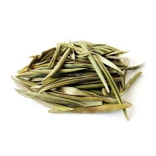 Oliveira, Folhas (Olea europaea) - 500grs