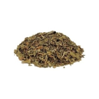 Papaia, Folhas (Carica papaya) - 200grs