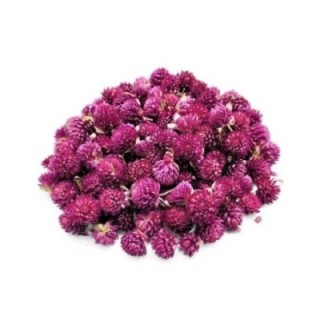 Perpétua Roxa, Flores (Gomphrena Globosa) - 100grs