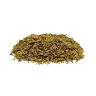 Sabugueiro, Flor (Sambucus nigra L.) - 1Kg