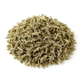 Salva, Folhas (Salvia officinalis L.) - 500grs