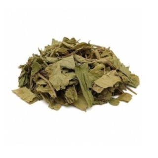 Tanchagem, Folhas (Plantago major L.) - 50grs