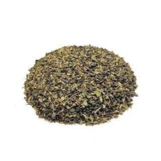 Té verde Marrakesh Mint – Menta - Bolsa de 1 kg