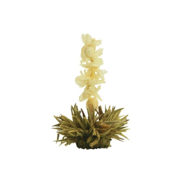 Flor de Chá - Pérola Branca