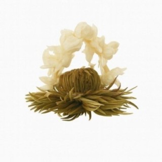 Flor de Chá - Nuvem de Prata - marca Creano