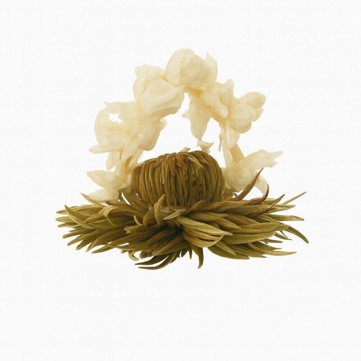 Flor de Chá - Nuvem de Prata - marca Creano