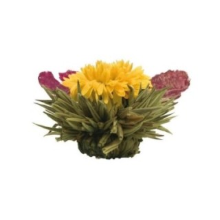 Flor de Chá - Reina del Oro - marca Creano