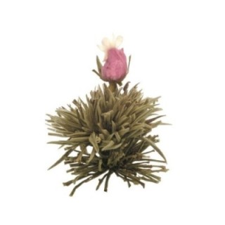 Flor de té - Rosa púrpura - marca Creano