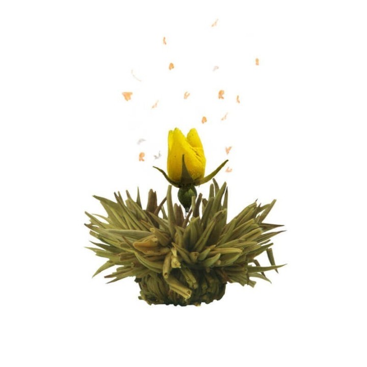 Flor de Chá - Rosa Encantada - marca Creano