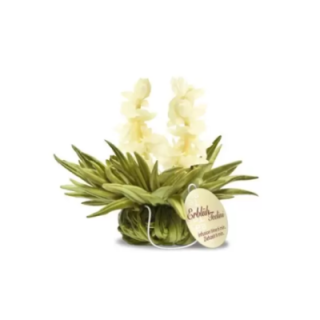 Flor de Chá - Tealini Pérola de Jasmim - marca Creano