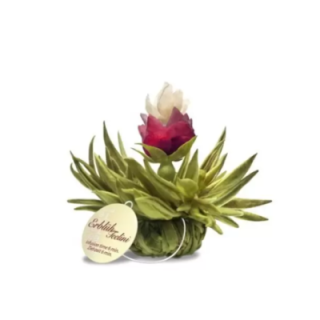 Flor de Chá - Tealini Pérola de Pêssego - marca Creano