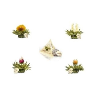 Pack com 4 Flores de Chá Tealini
